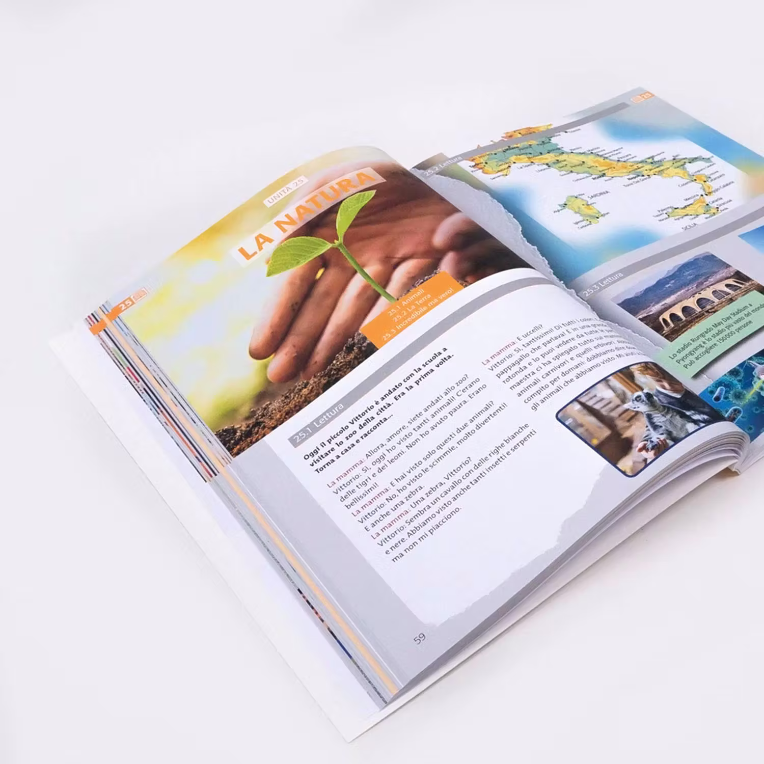 Available levels: A1 - B2